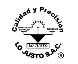 SUS INICIOS